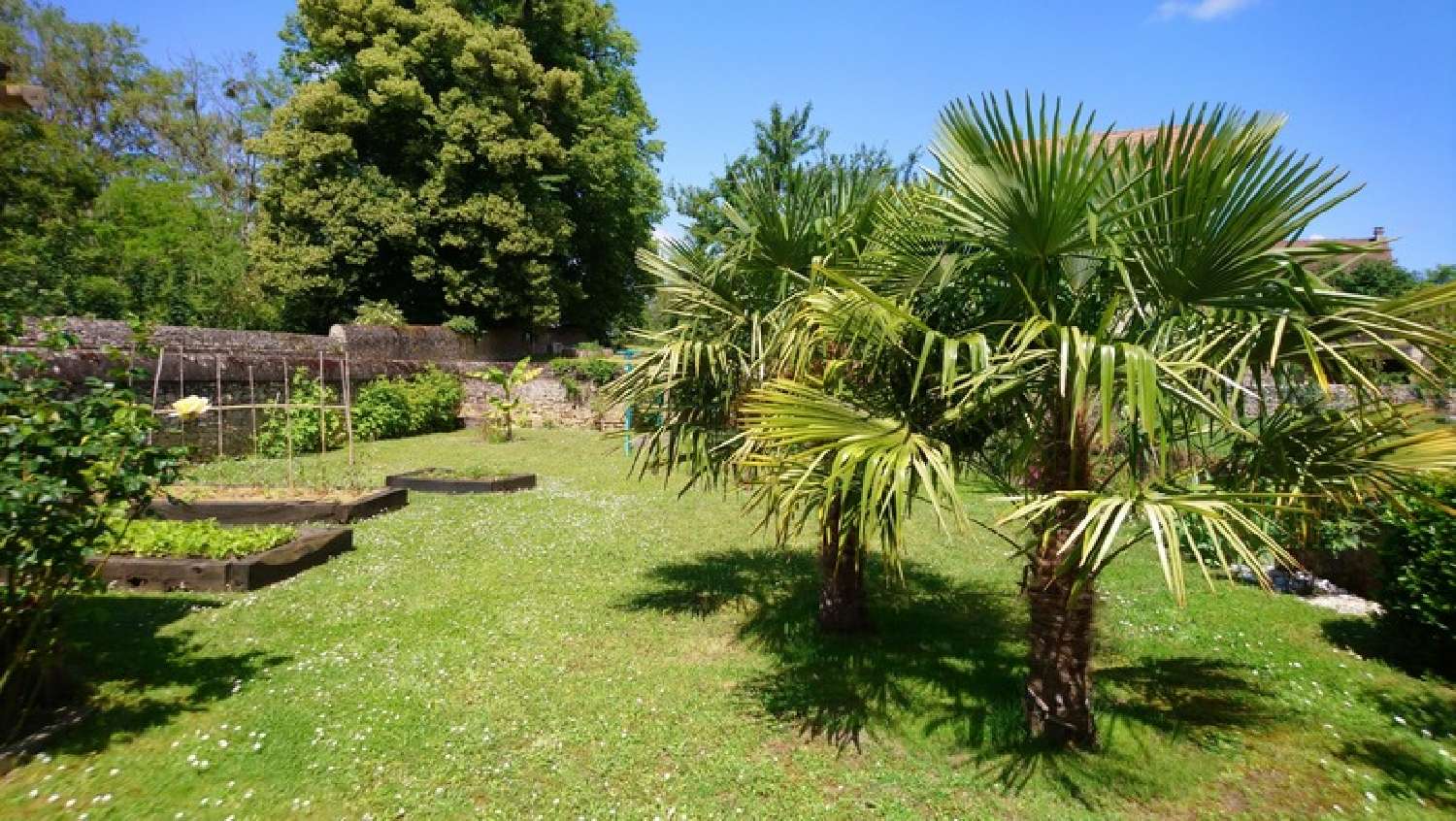  te koop huis Jouhet Vienne 3