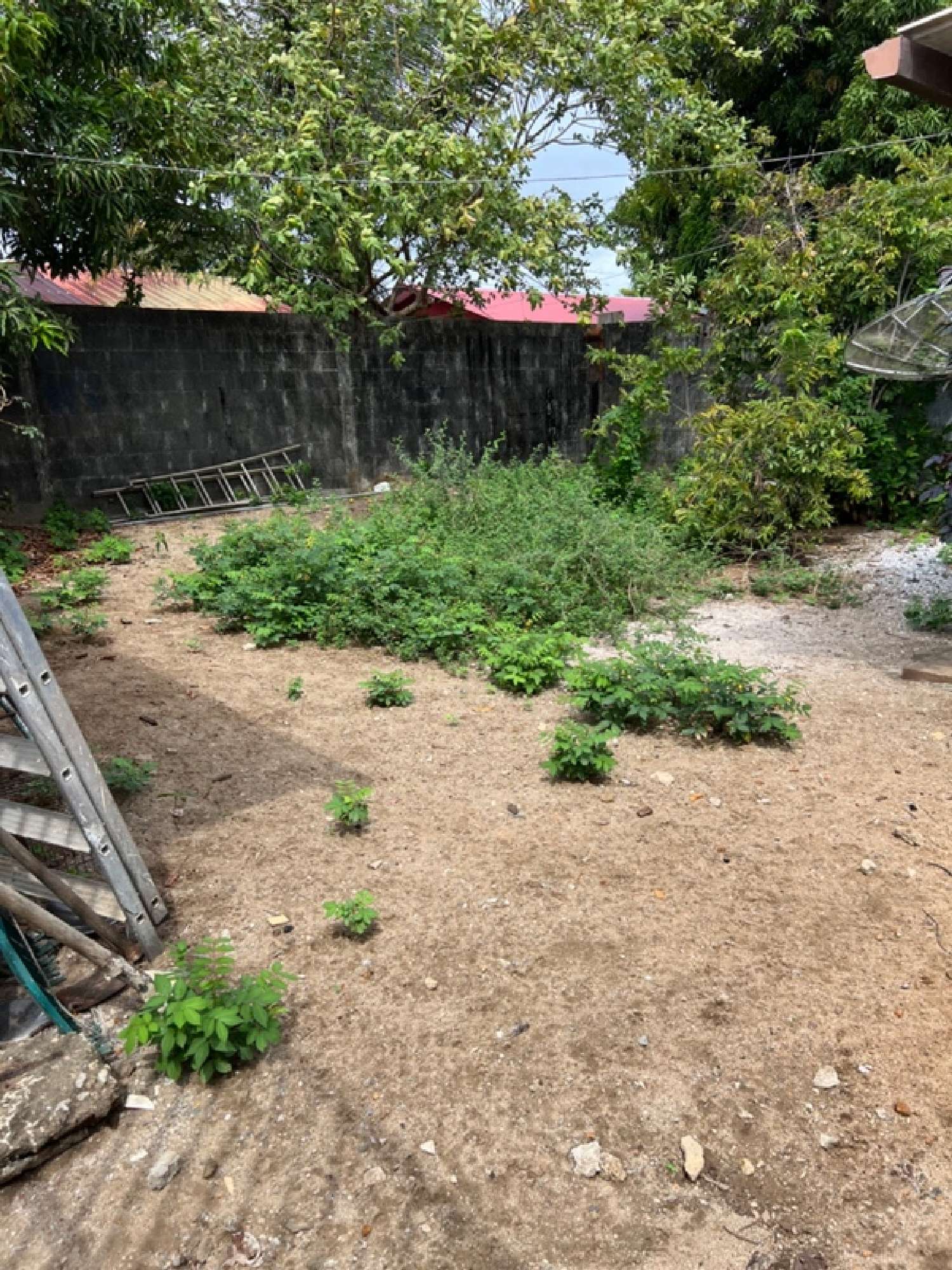 te koop huis Kourou Guyane 7