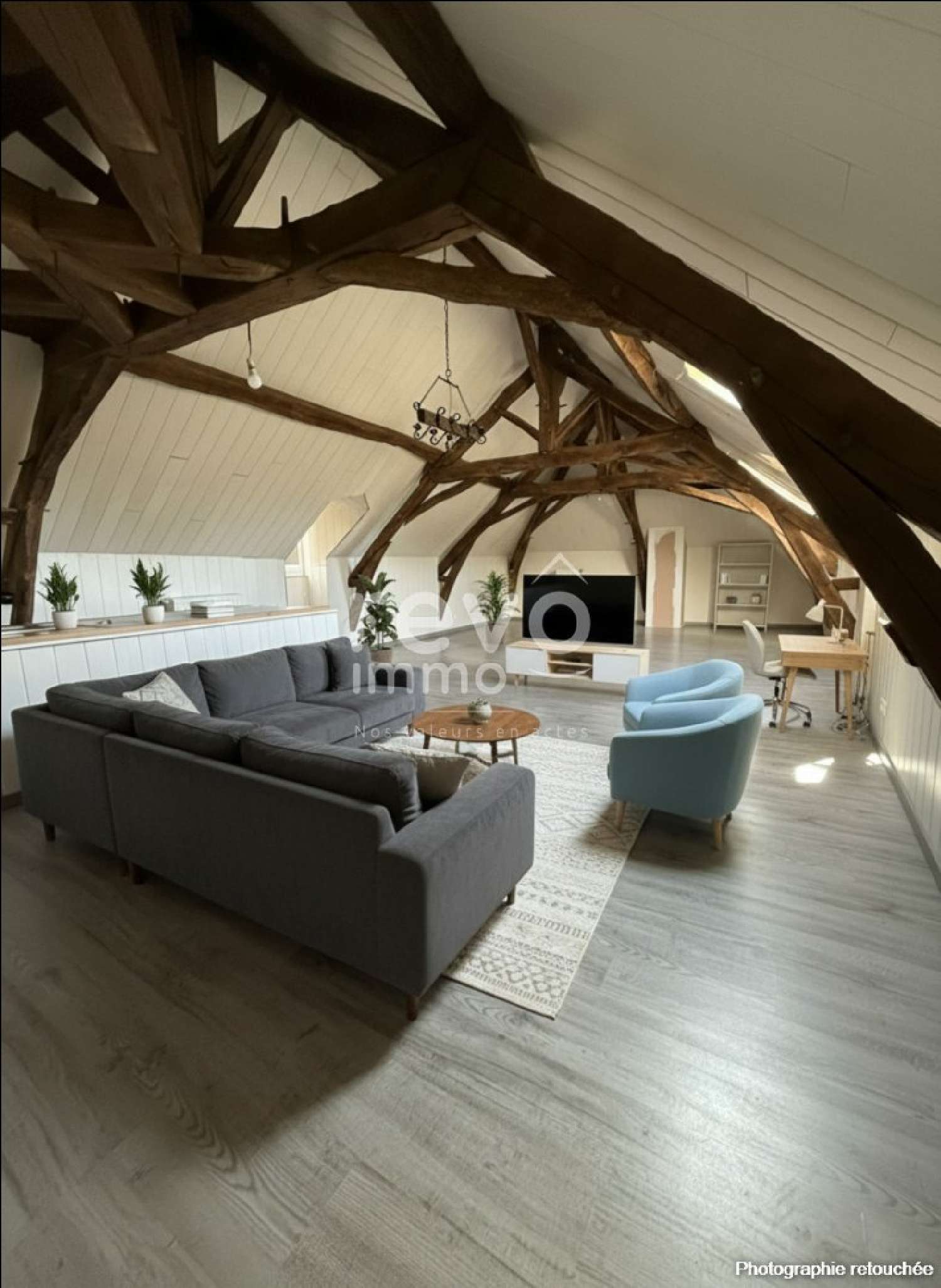  te koop huis La Copechagnière Vendée 5