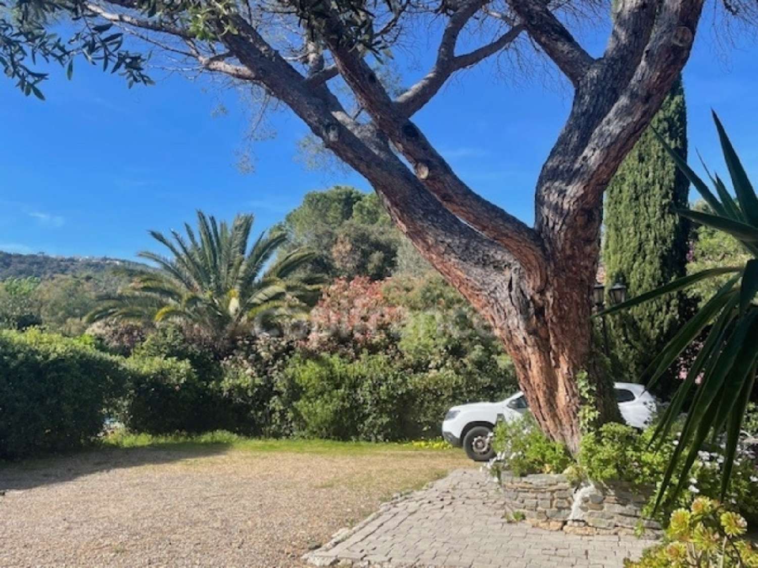 kaufen Haus La Croix-Valmer Var 2