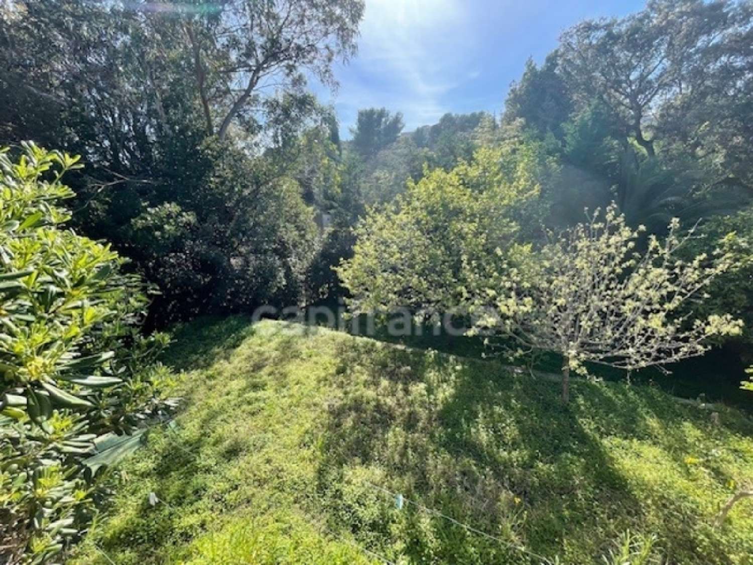 kaufen Haus La Croix-Valmer Var 4