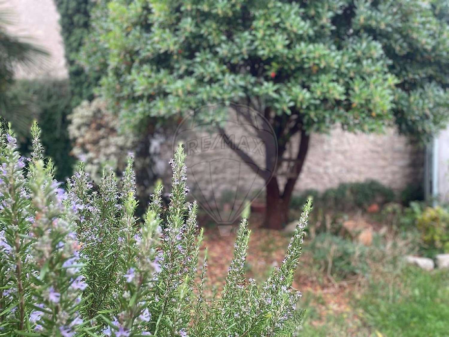  en venta casa La Rochelle Charente-Maritime 3