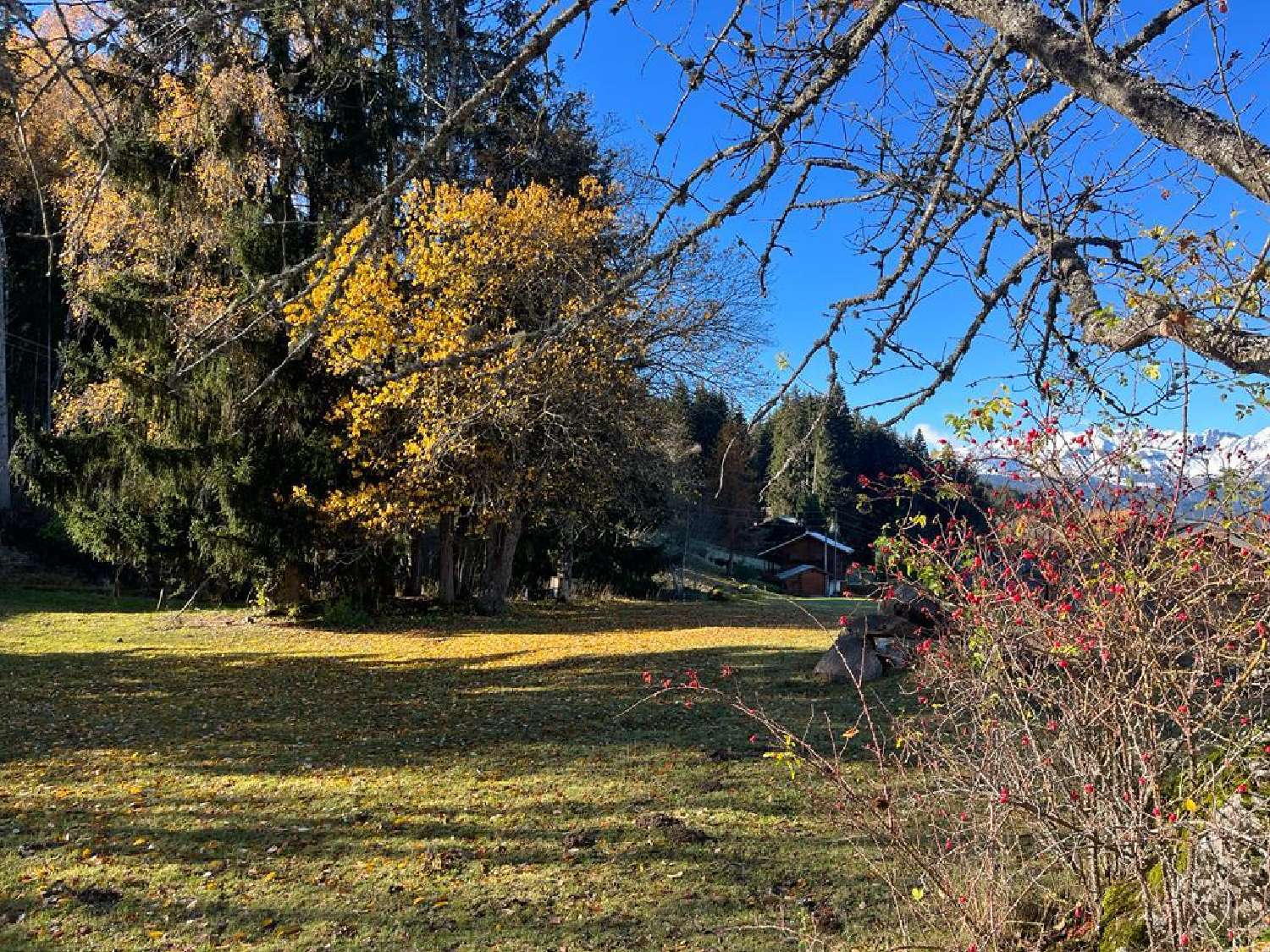 kaufen Haus La Roque-sur-Cèze Gard 2