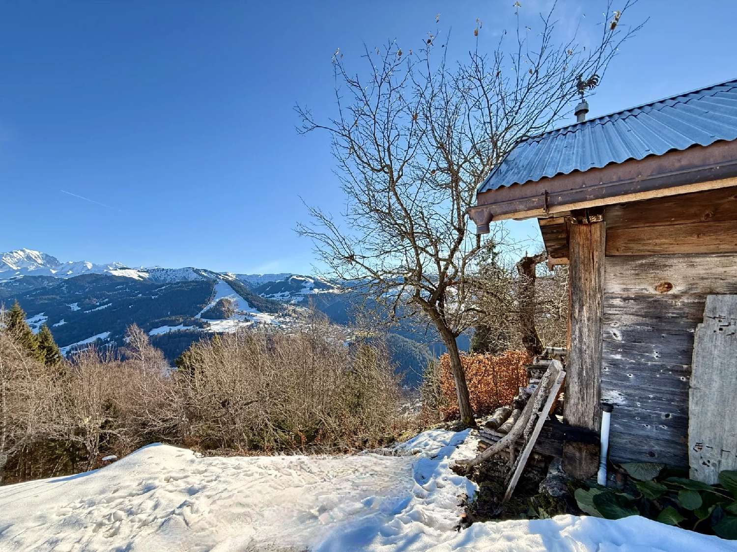  te koop huis La Saulsotte Aube 5