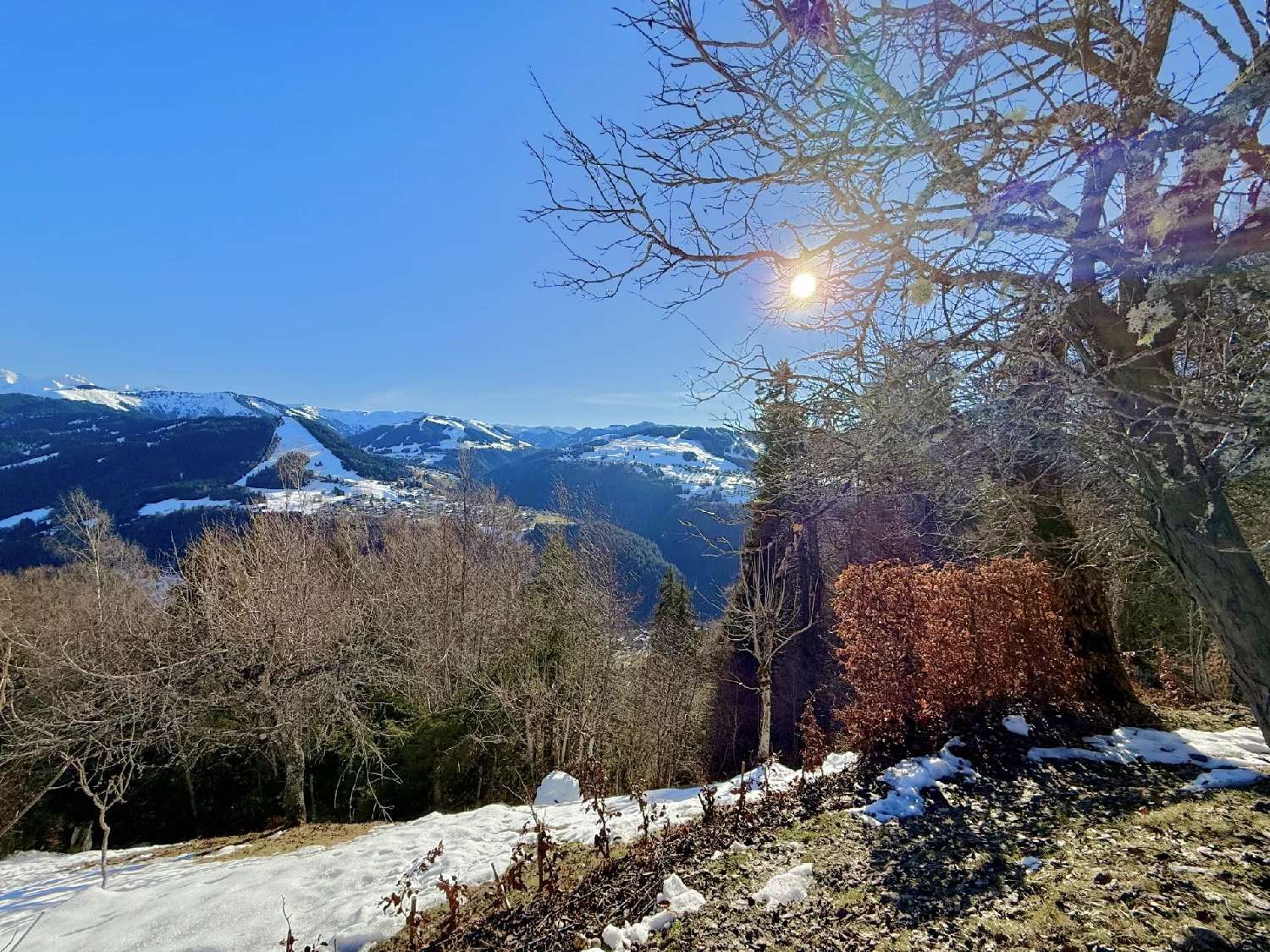  te koop huis La Saulsotte Aube 7