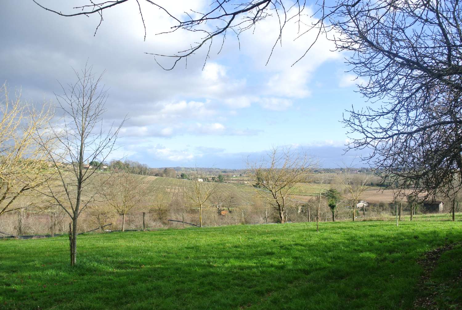  for sale house Lagupie Lot-et-Garonne 5