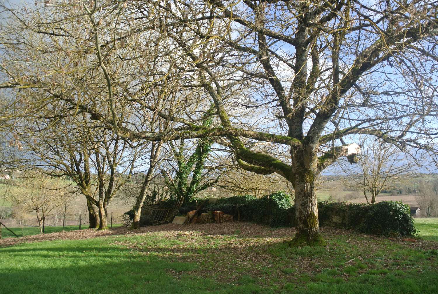  for sale house Lagupie Lot-et-Garonne 6