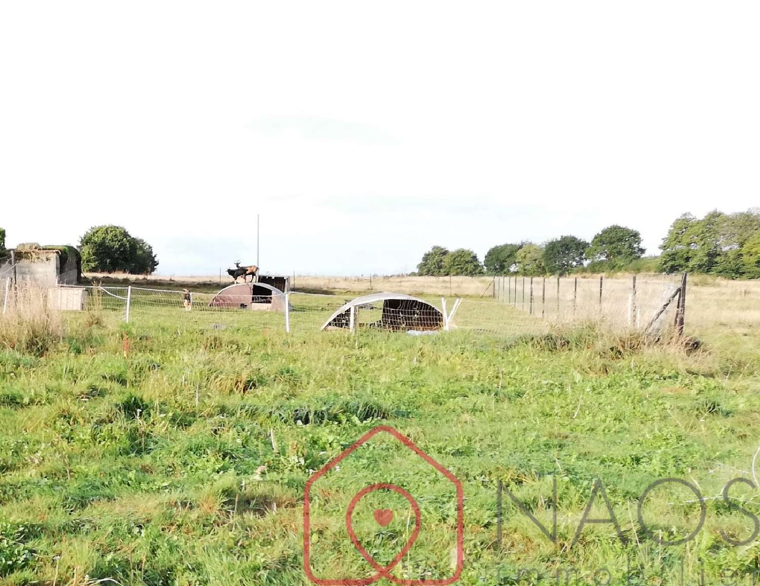 te koop huis Langolen Finistère 2