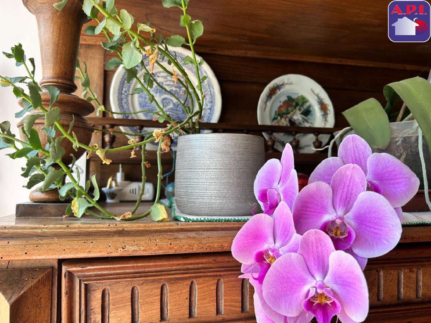 for sale house Lapenne Ariège 6