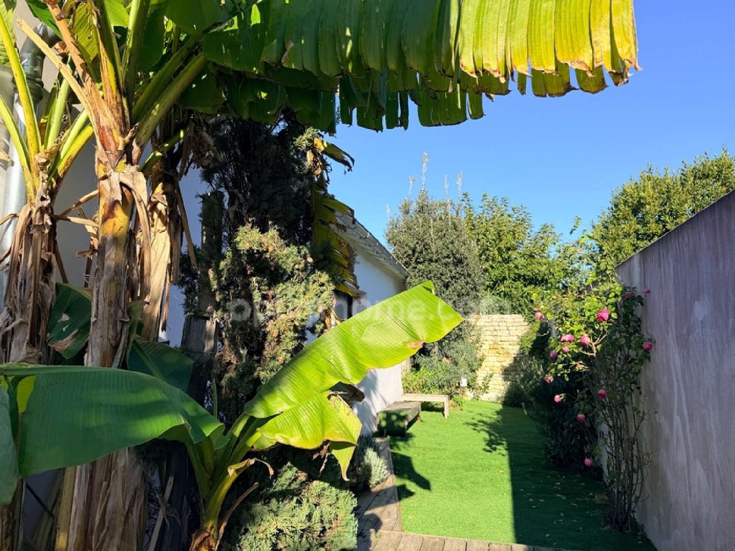 te koop huis Le Bois-Plage-en-Ré Charente-Maritime 4