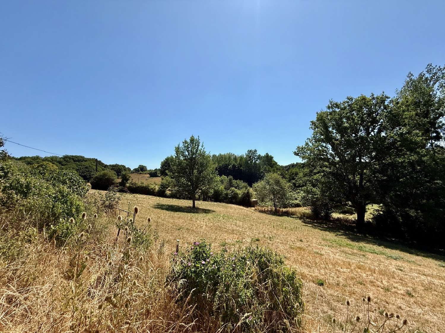  for sale house Le Bouchage Charente 3