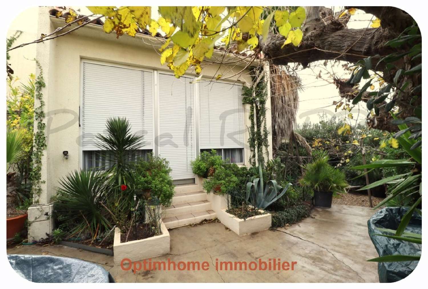 à vendre maison Le Cap d'Agde Hérault 2