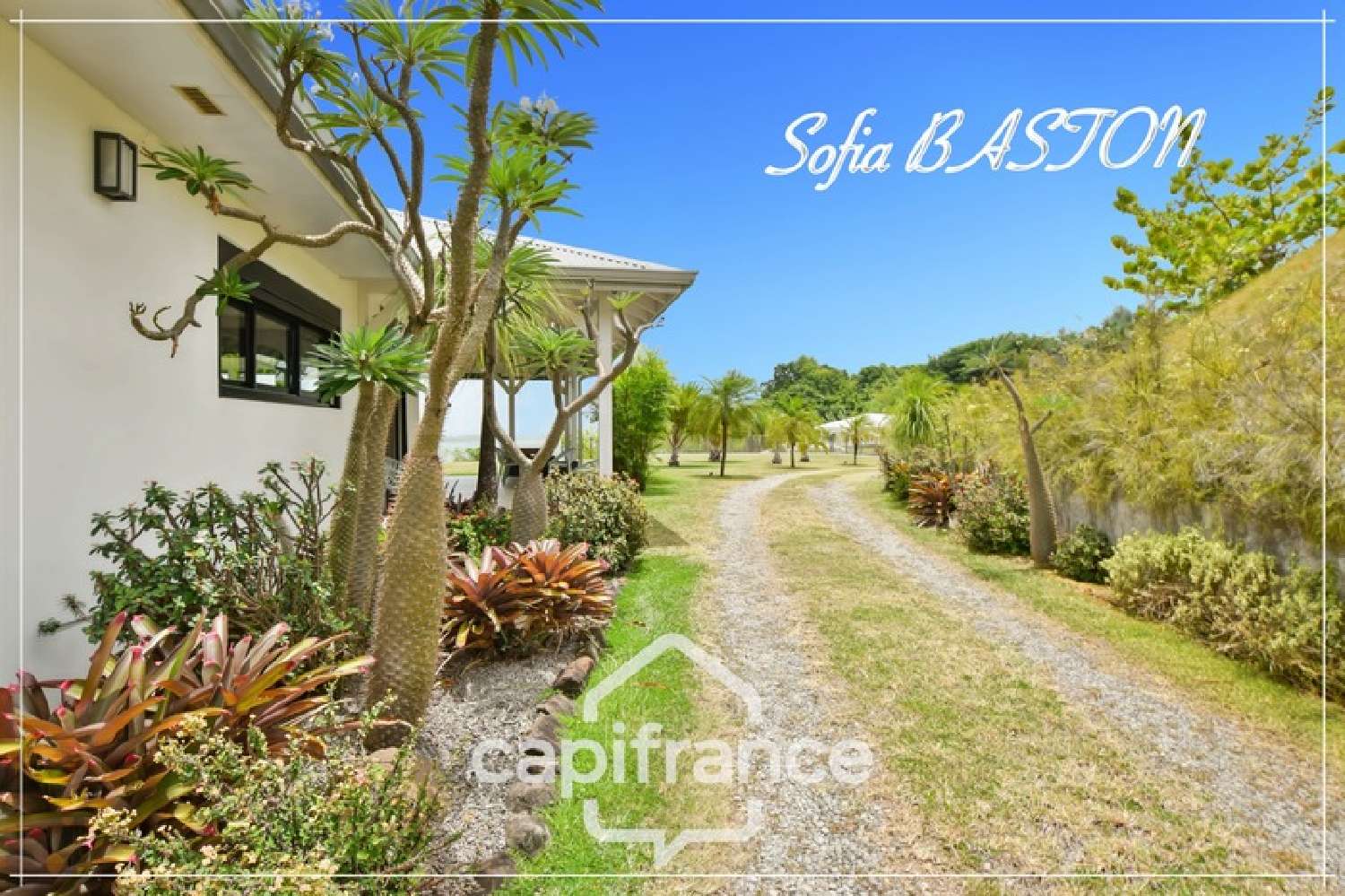 kaufen Haus Le François Martinique 2