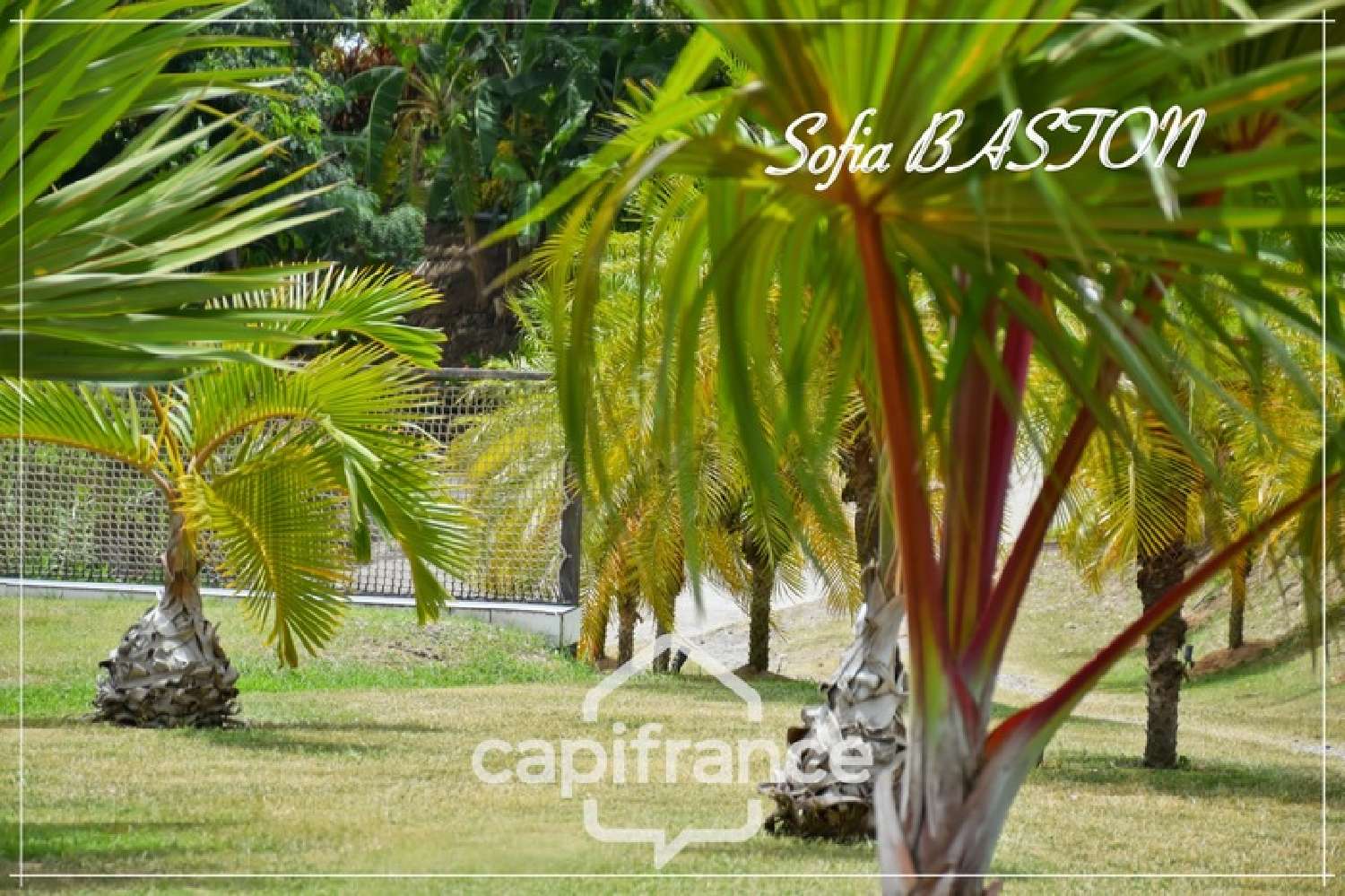 kaufen Haus Le François Martinique 5