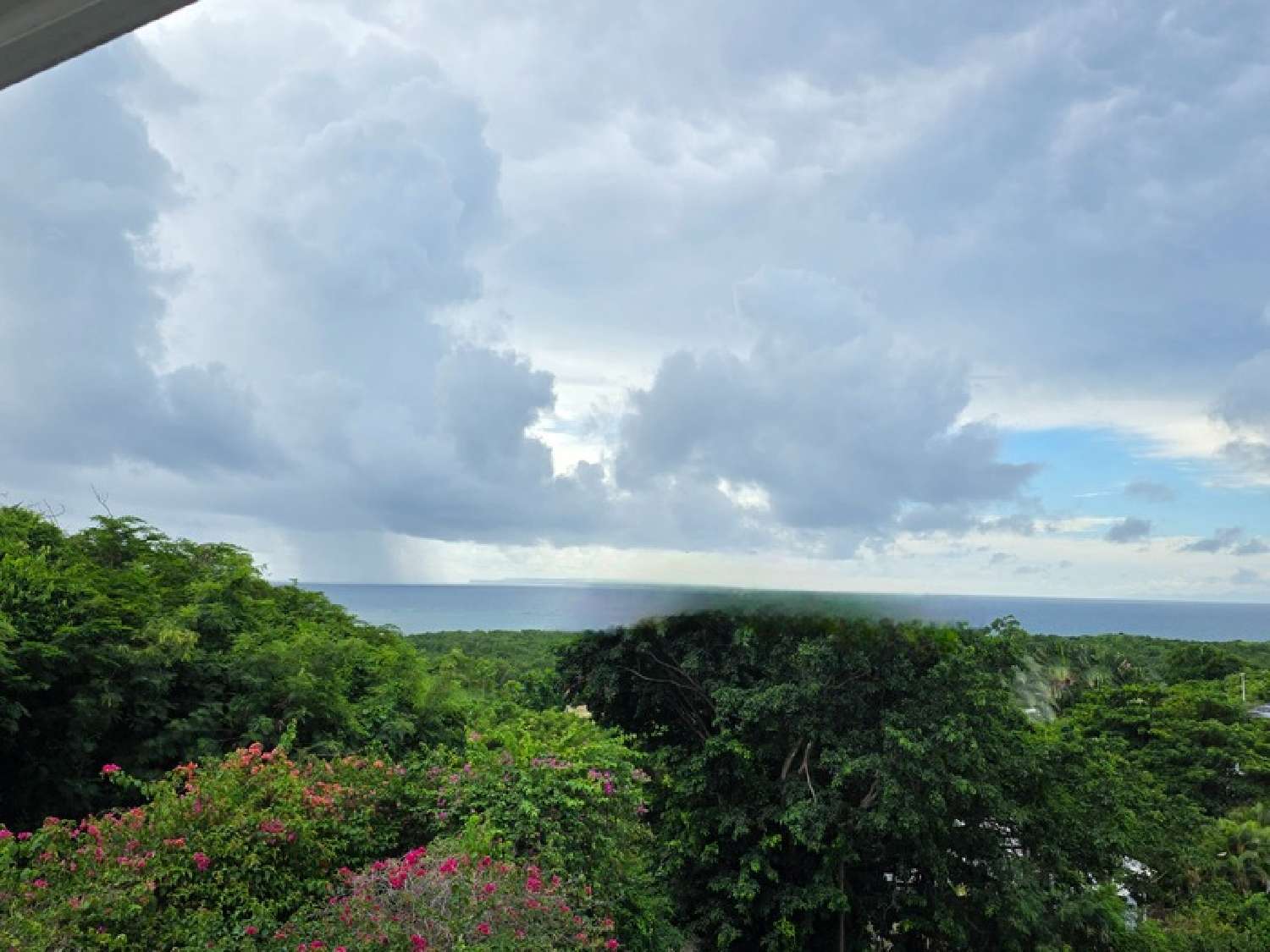 te koop huis Le Gosier Guadeloupe 1