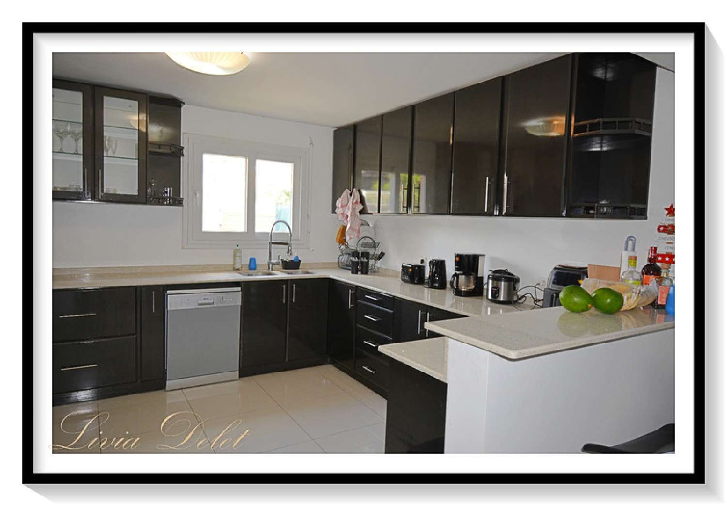 te koop huis Le Lamentin Martinique 6