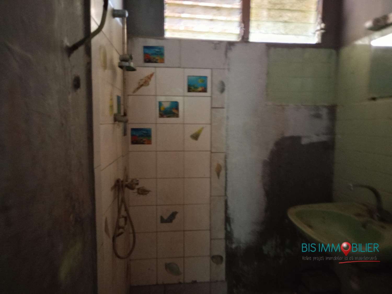 for sale house Le Morne-Rouge Martinique 7