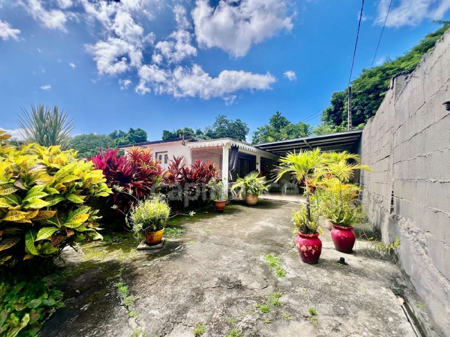 te koop huis Le Morne-Vert Martinique 2