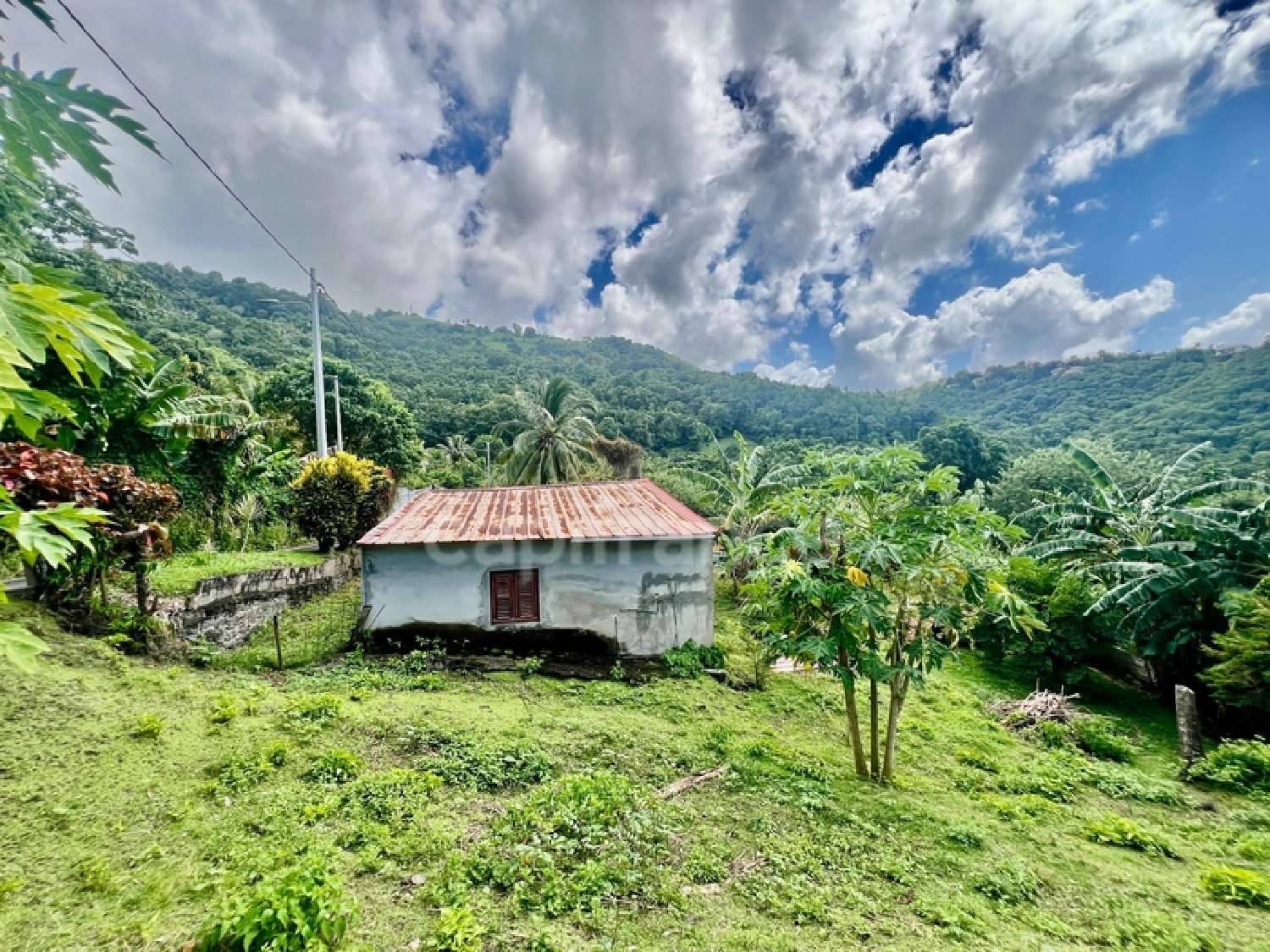 te koop huis Le Morne-Vert Martinique 4