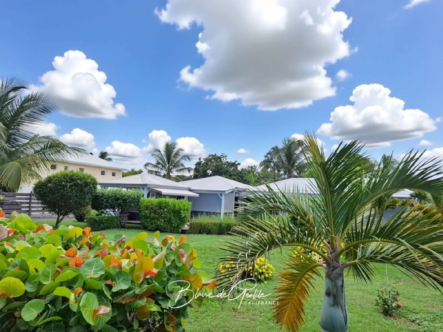 te koop huis Le Moule Guadeloupe 1