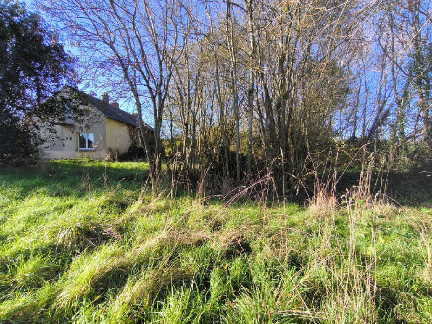  kaufen Haus Le Pin Loire-Atlantique 3