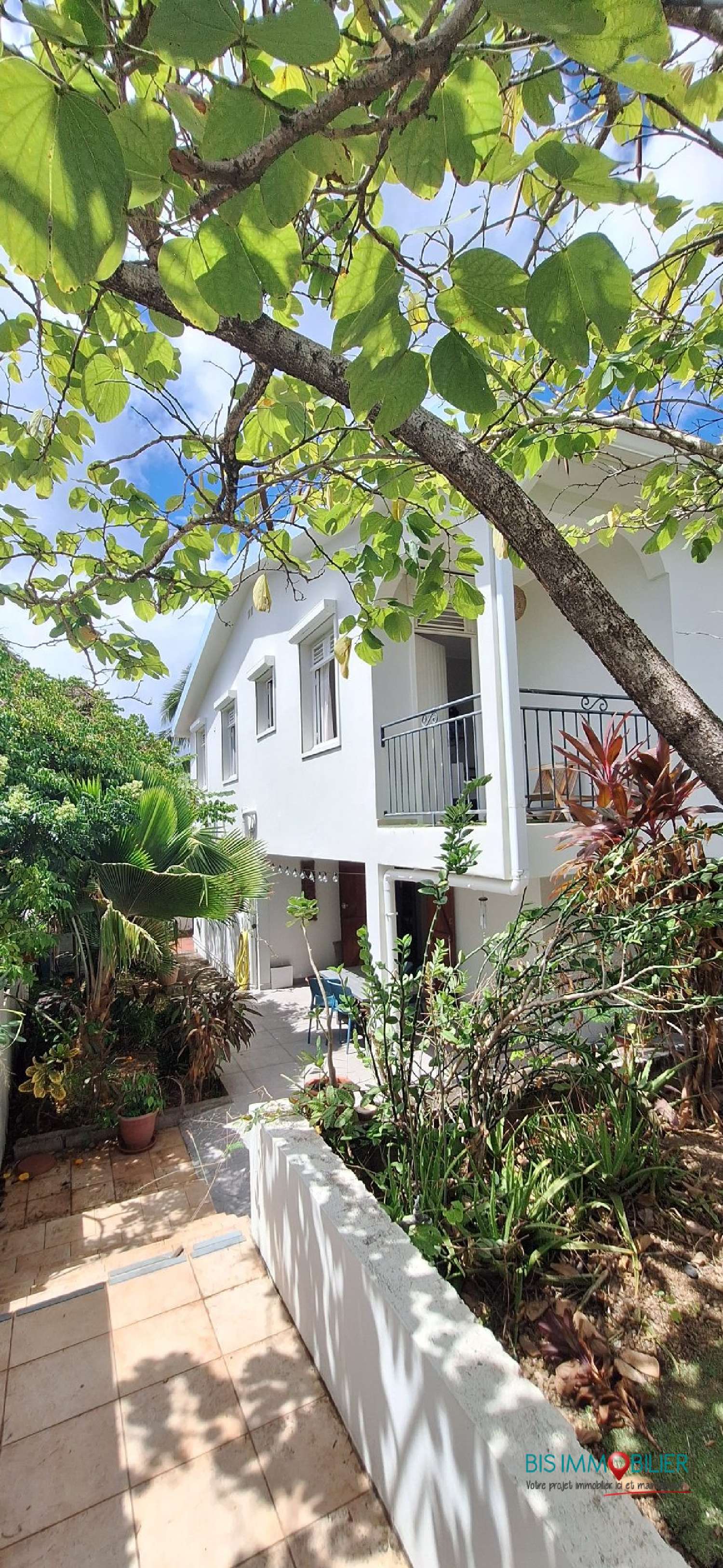 for sale house Le Prêcheur Martinique 2