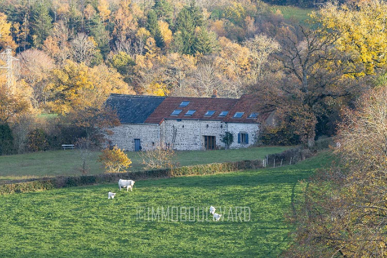  à vendre maison Le Quartier Puy-de-Dôme 4