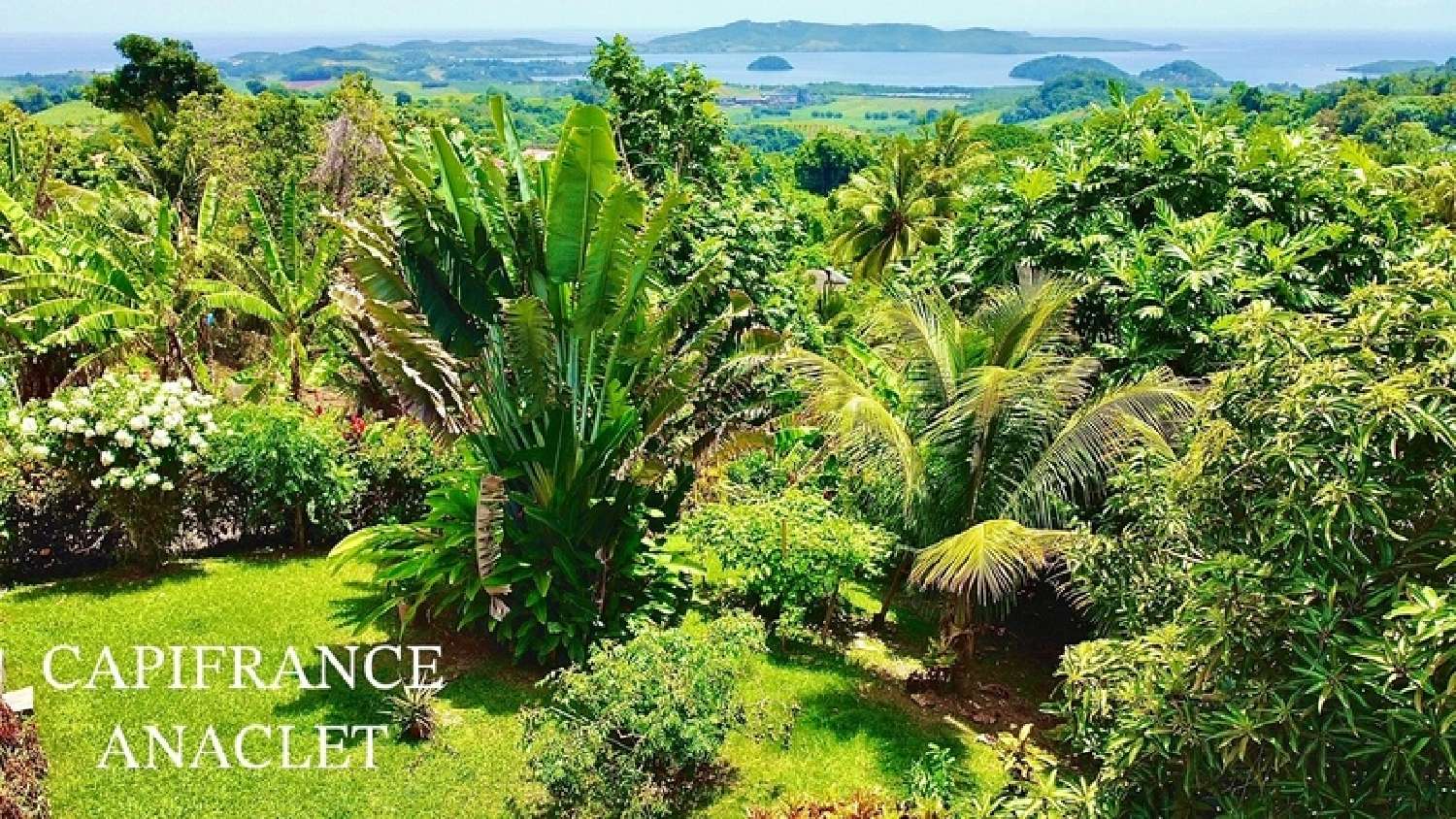  te koop huis Le Robert Martinique 3