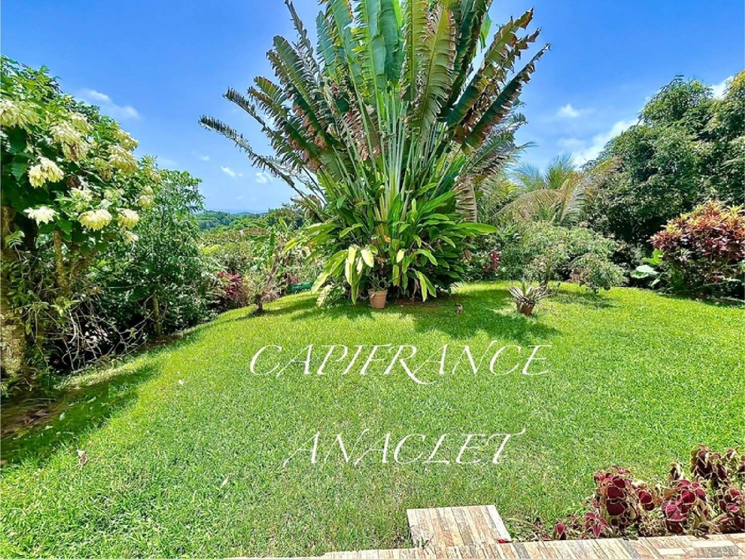  te koop huis Le Robert Martinique 4