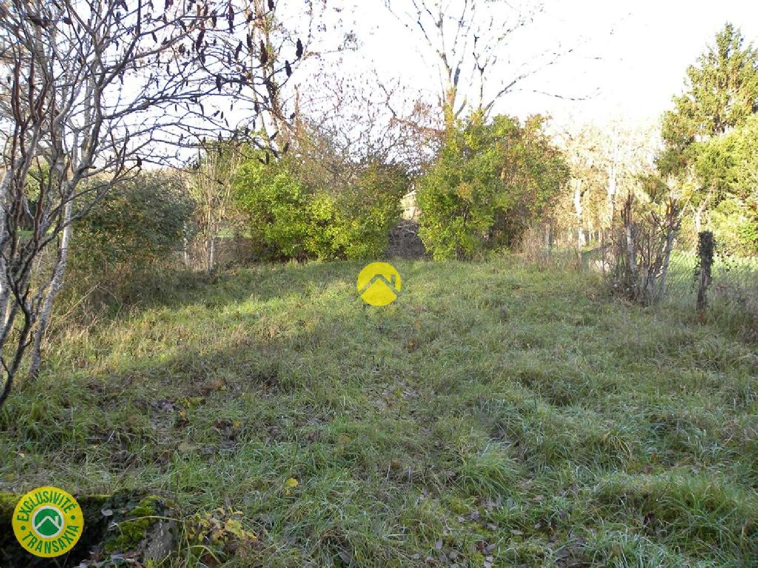 for sale house Léré Cher 3