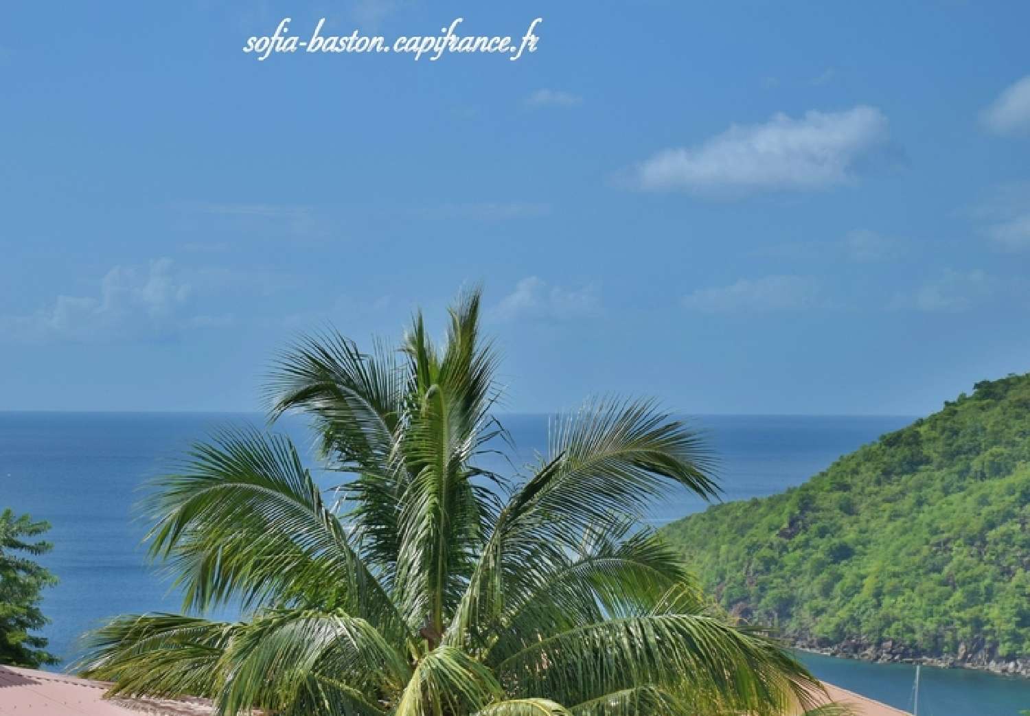  te koop huis Les Anses-d'Arlet Martinique 1