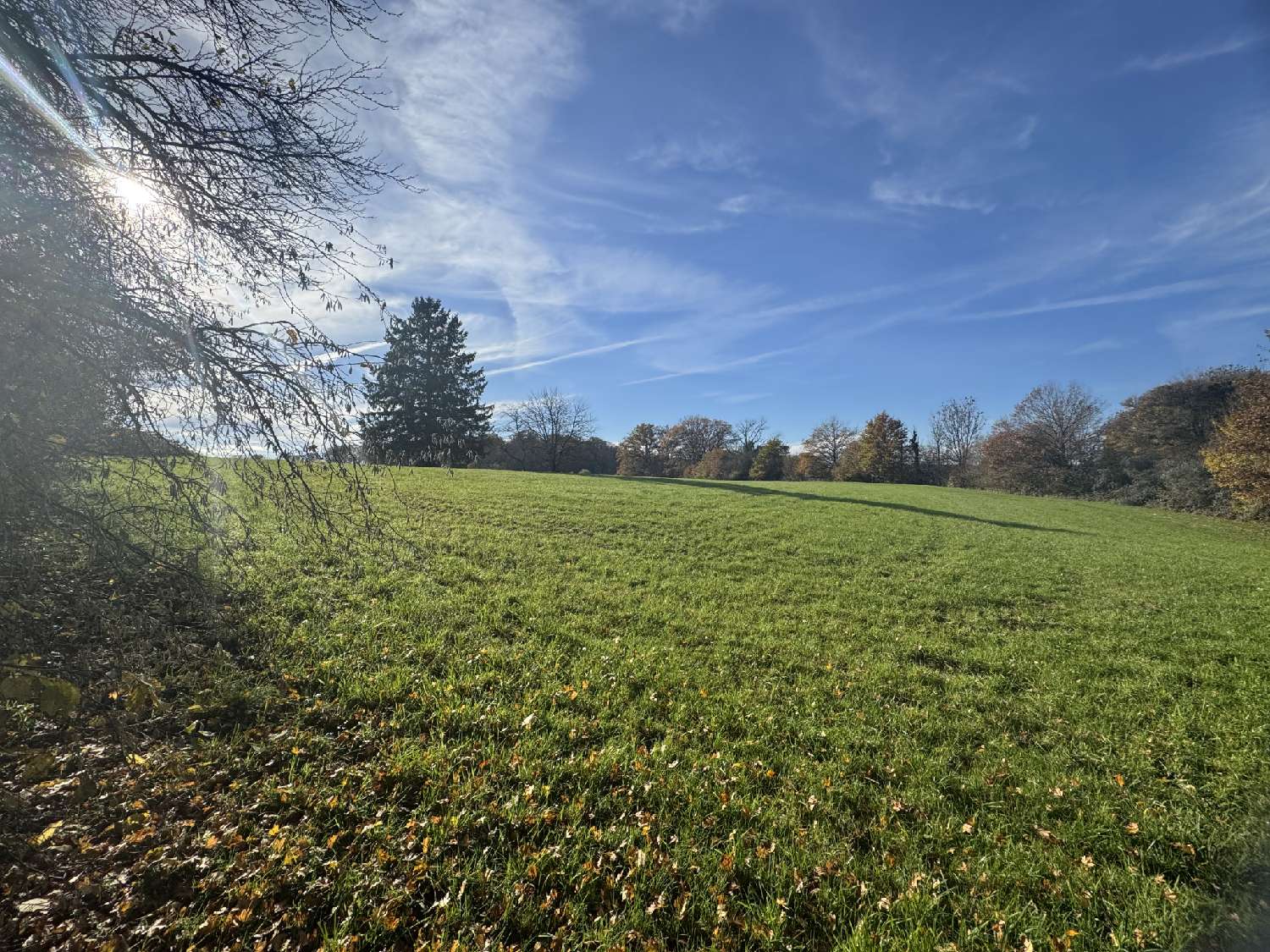  kaufen Haus Les Magny Haute-Saône 3