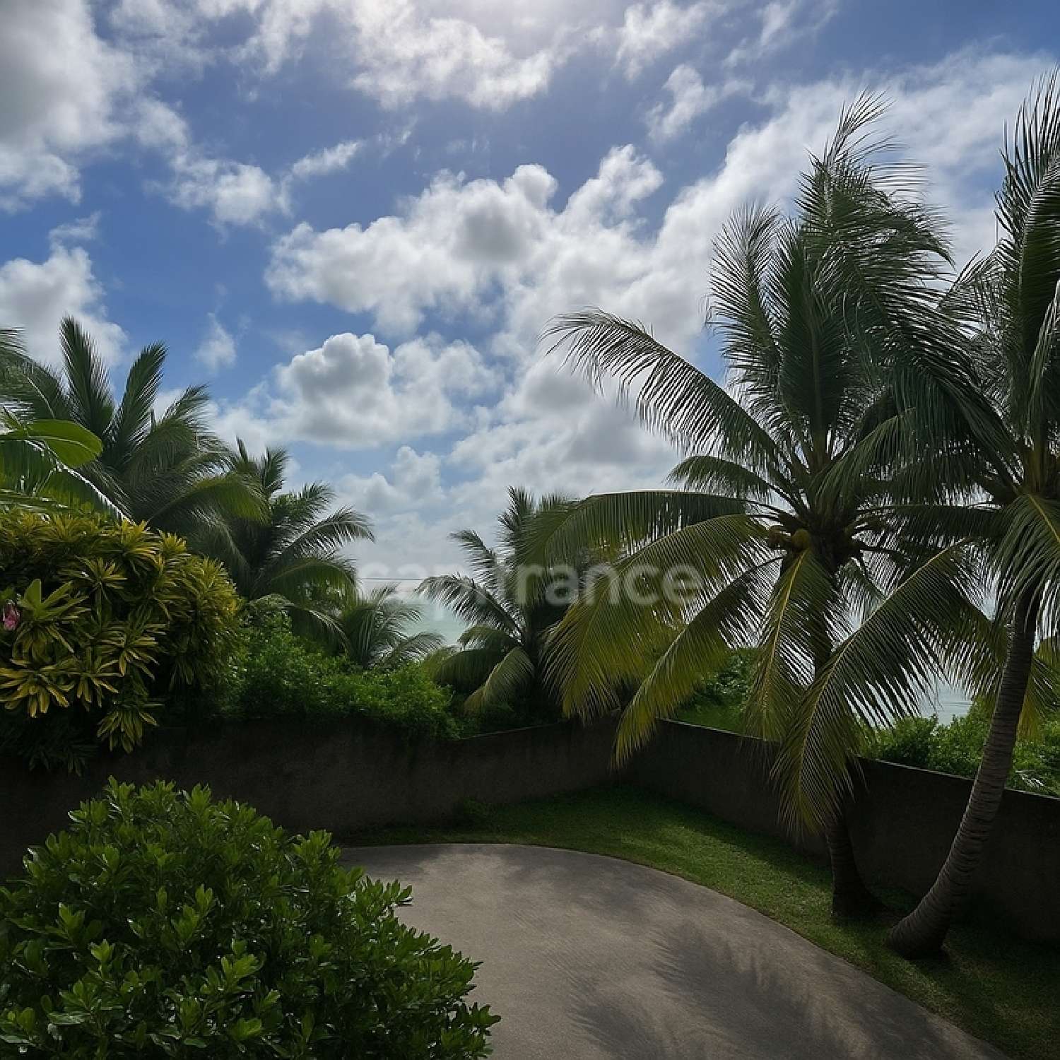  te koop huis Les Trois-Îlets Martinique 2