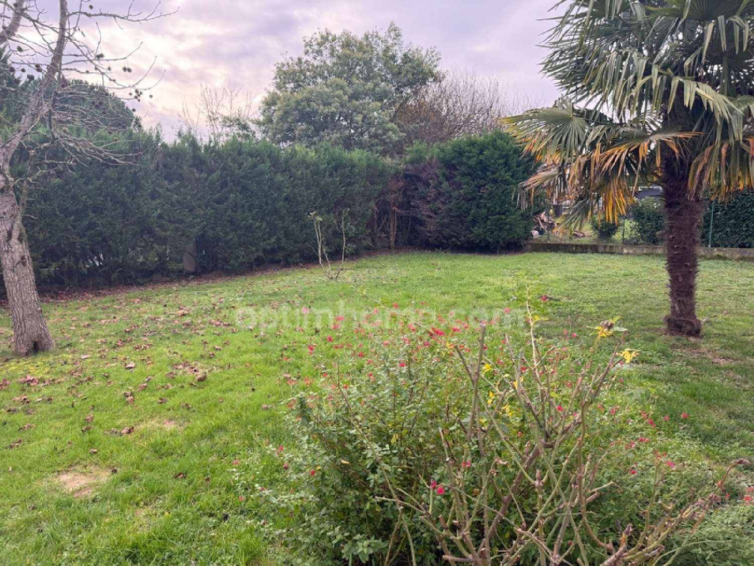 te koop huis Lévignac Haute-Garonne 3