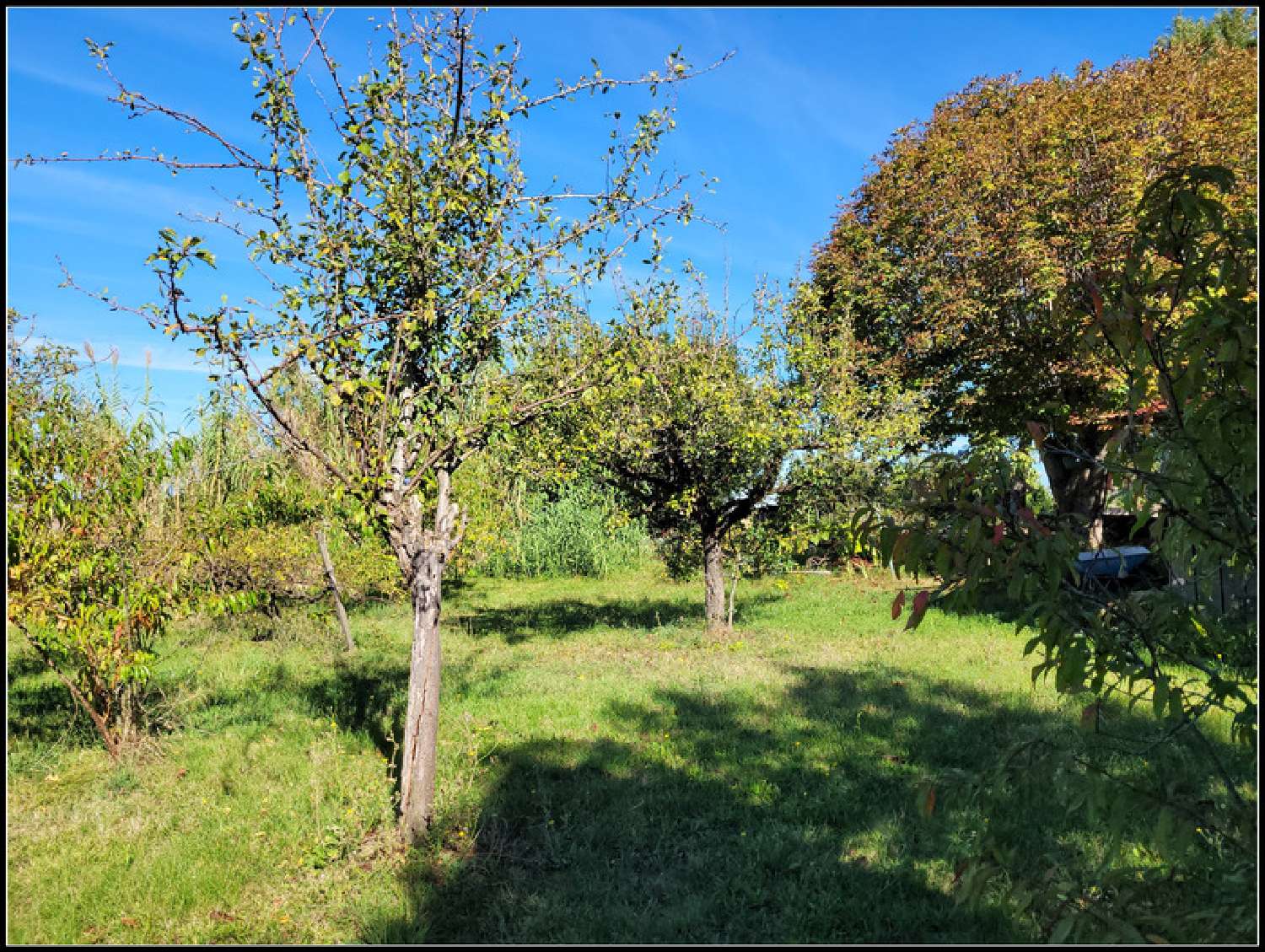  kaufen Haus Ligardes Gers 5