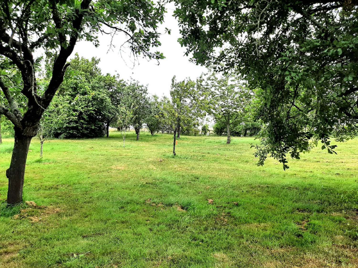 for sale house Longèves Vendée 7