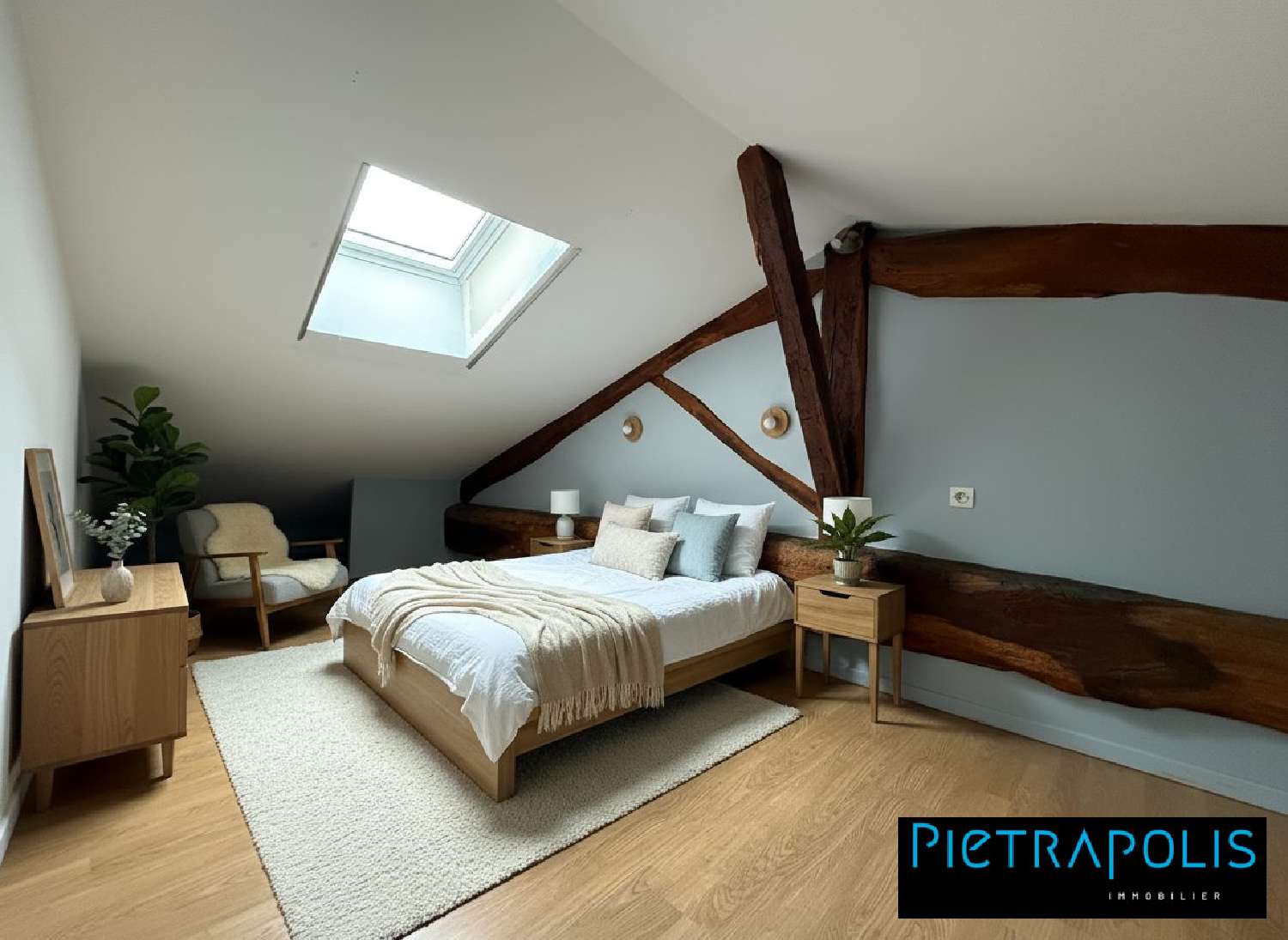 for sale house Lucenay Rhône 8