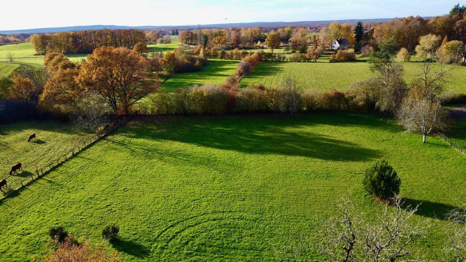  kaufen Haus Luxeuil-les-Bains Haute-Saône 3