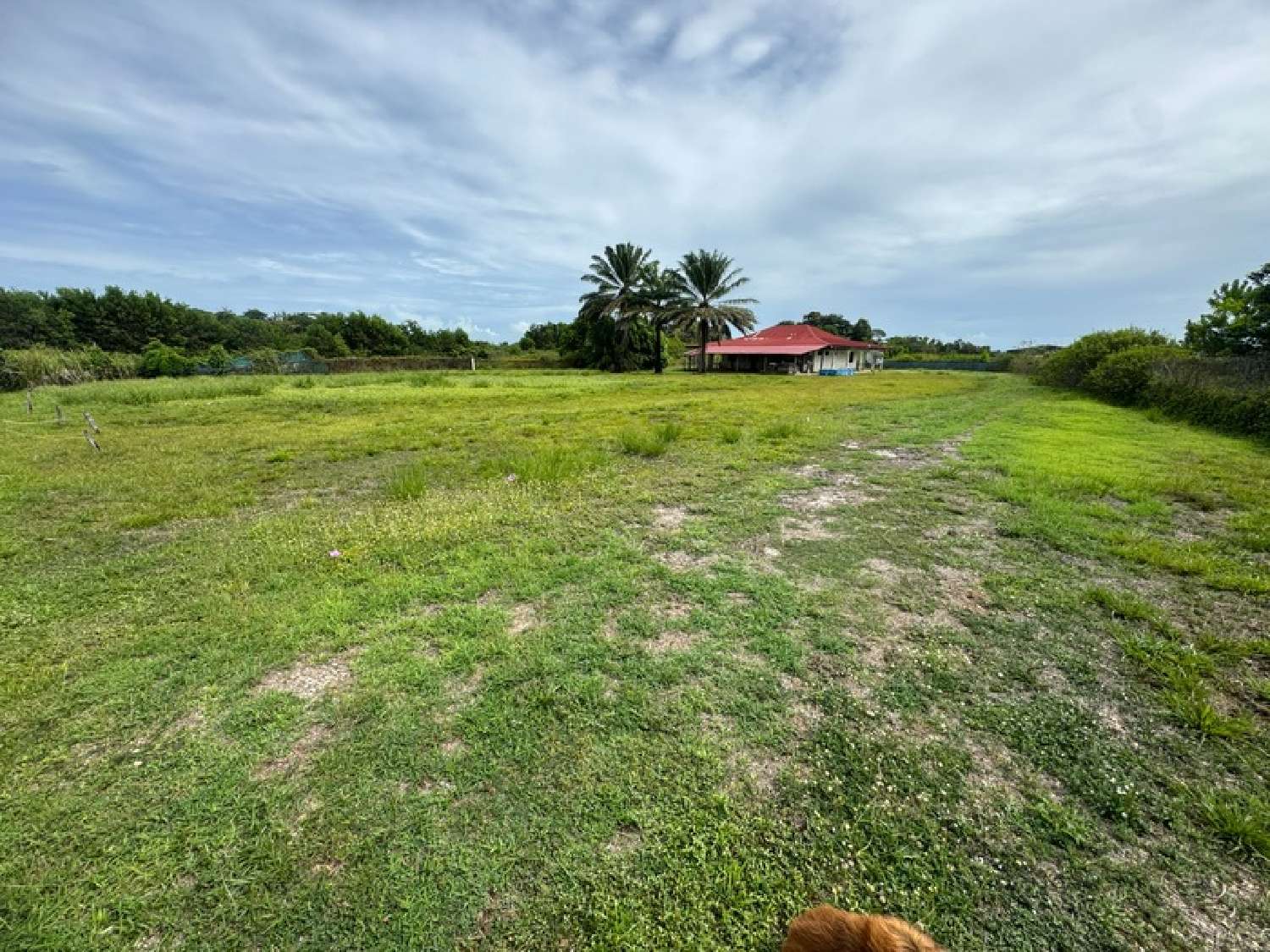 te koop huis Macouria Guyane 1