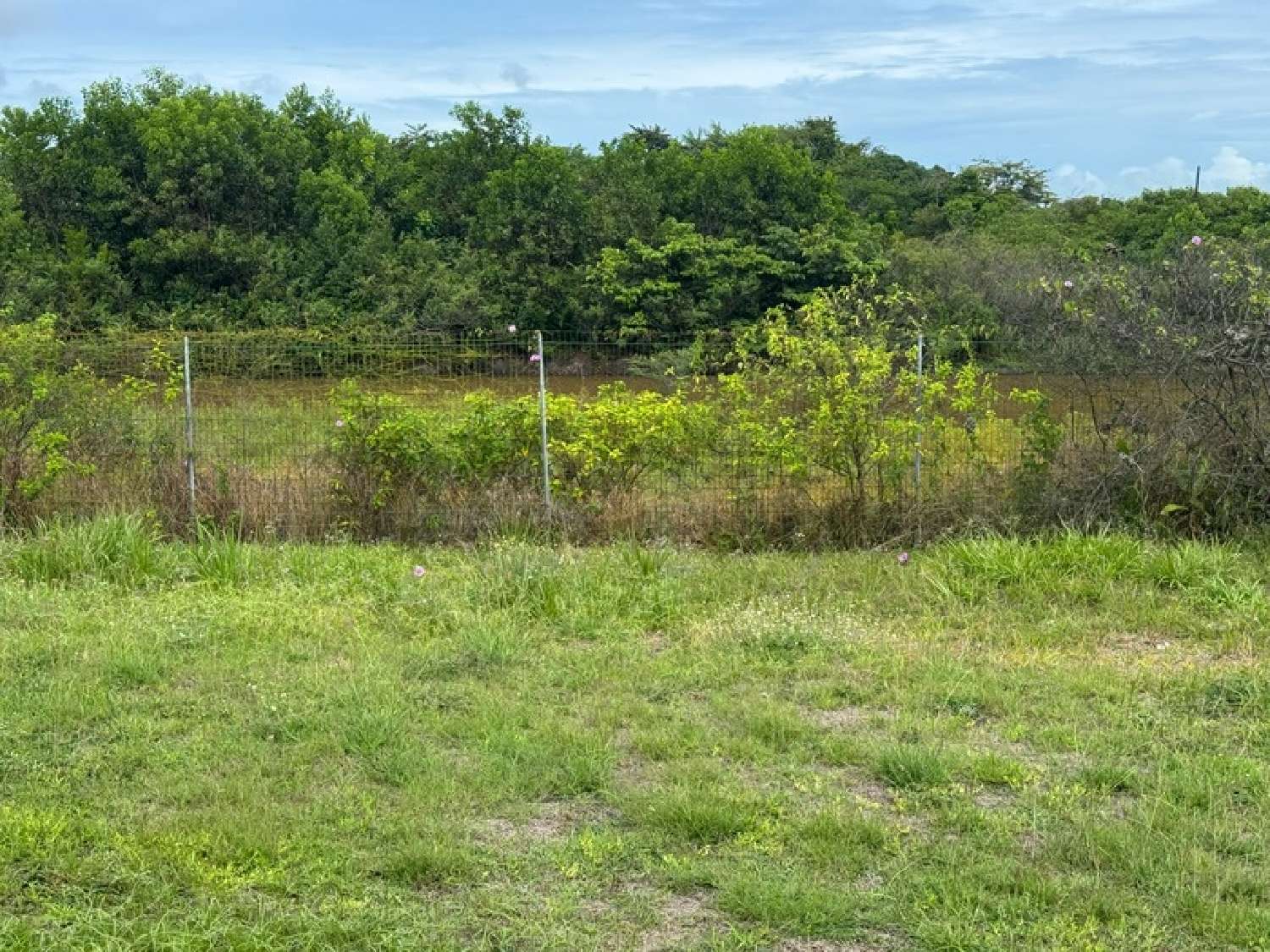 te koop huis Macouria Guyane 8