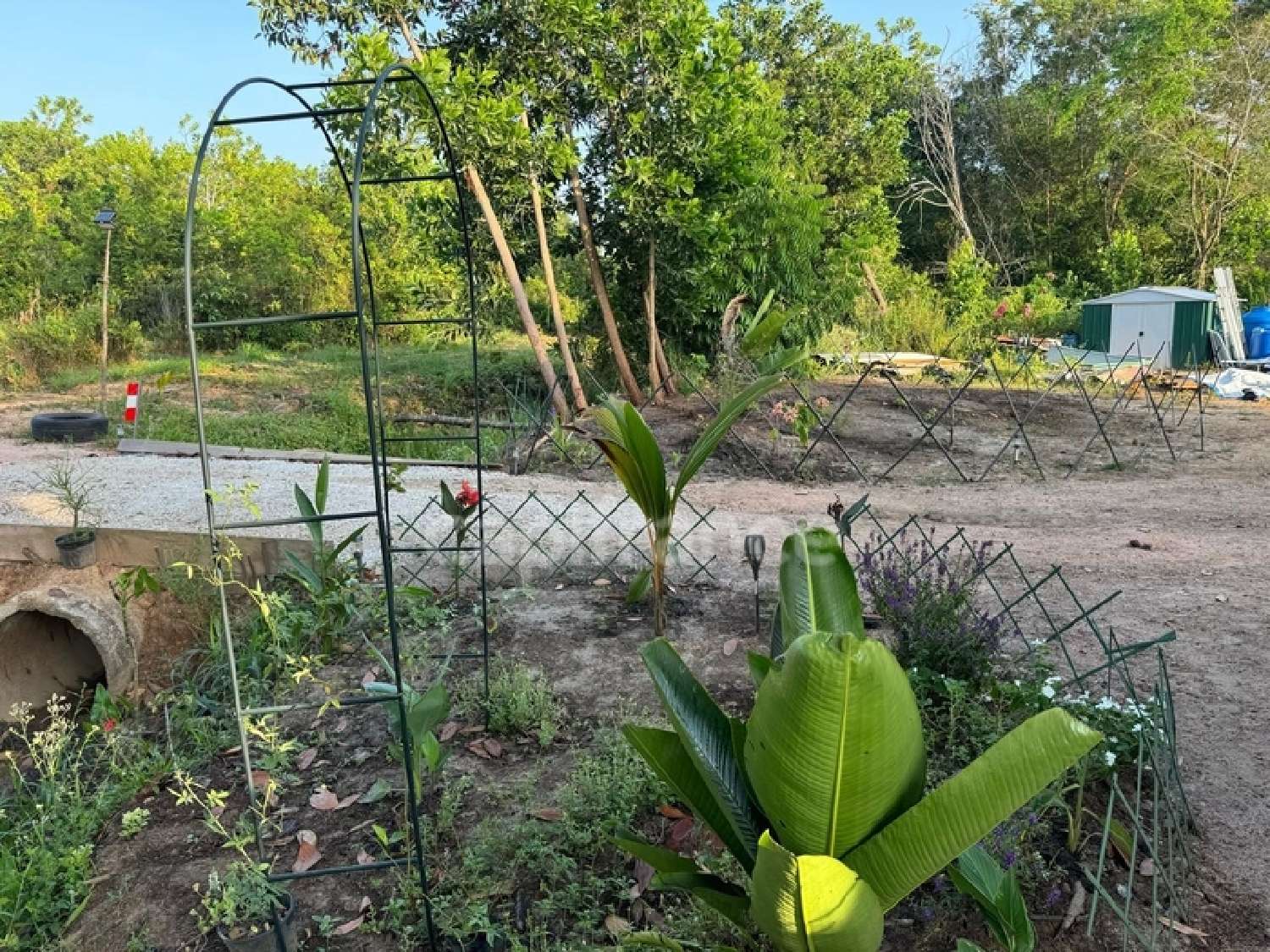 te koop huis Macouria Guyane 3