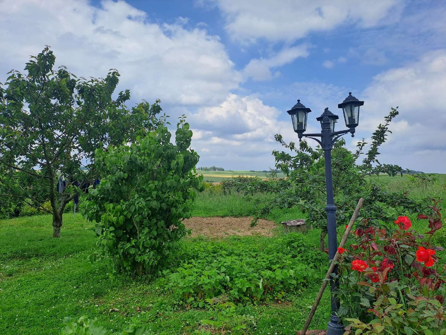  te koop huis Macquigny Aisne 3