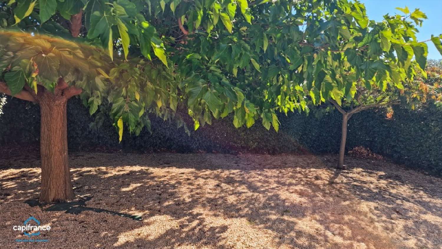  en venta casa Magalas Hérault 6