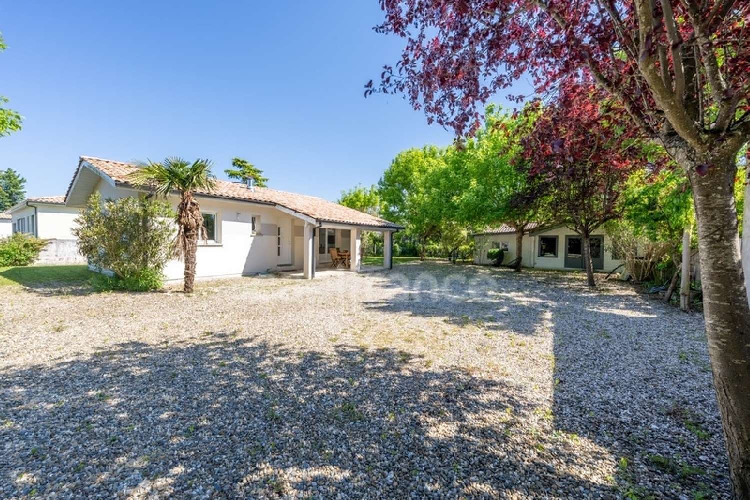  en venta casa Margaux Gironde 3