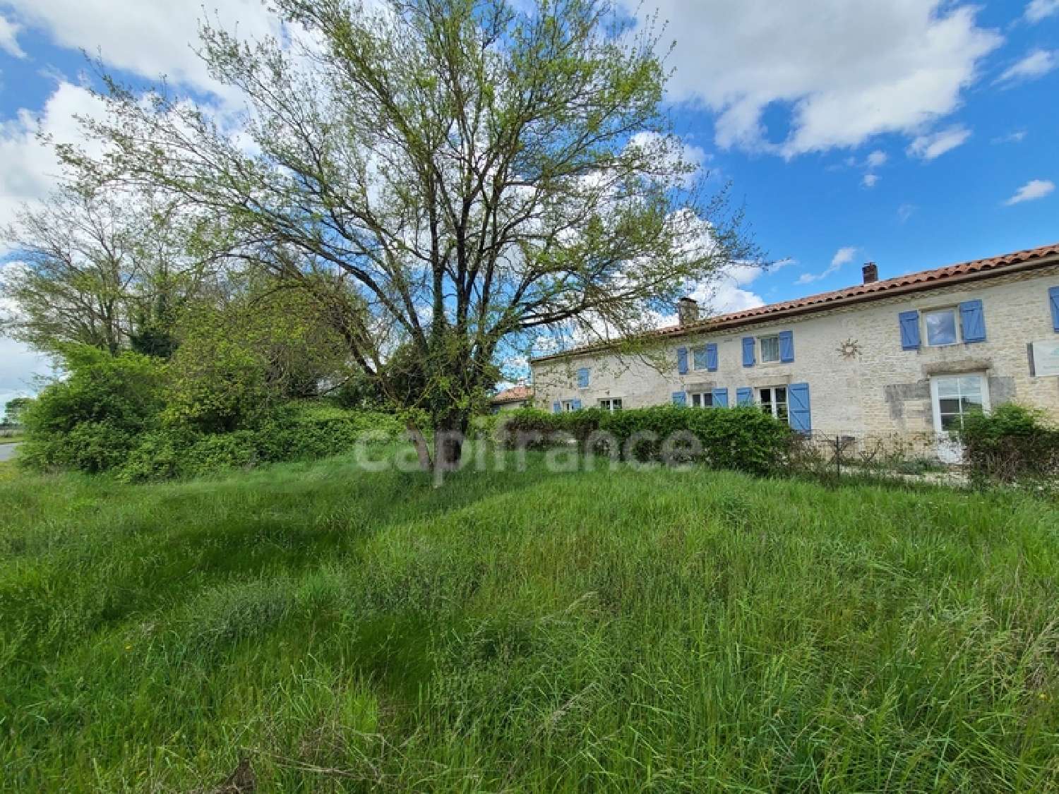 à vendre maison Matha Charente-Maritime 1