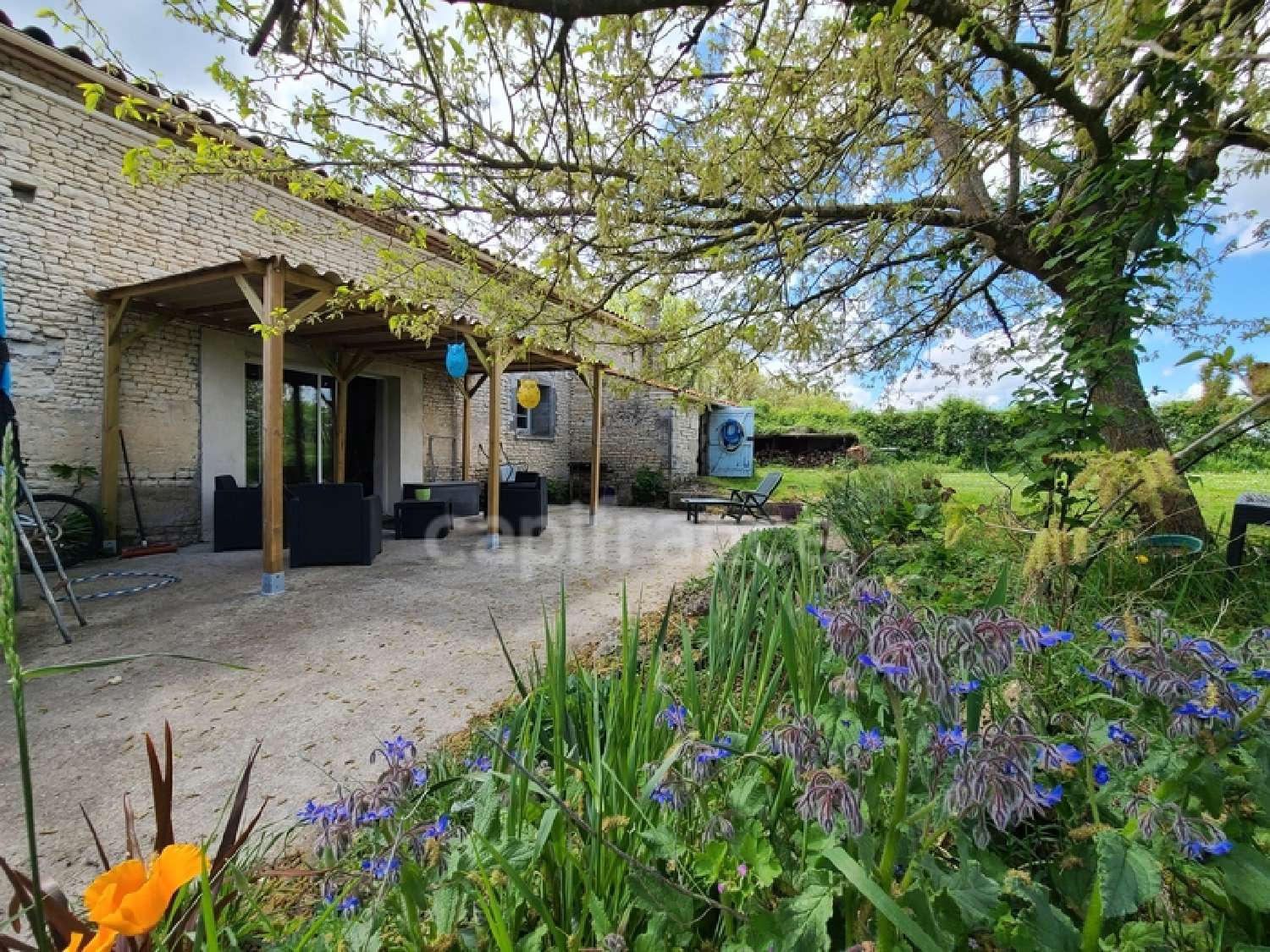 à vendre maison Matha Charente-Maritime 3