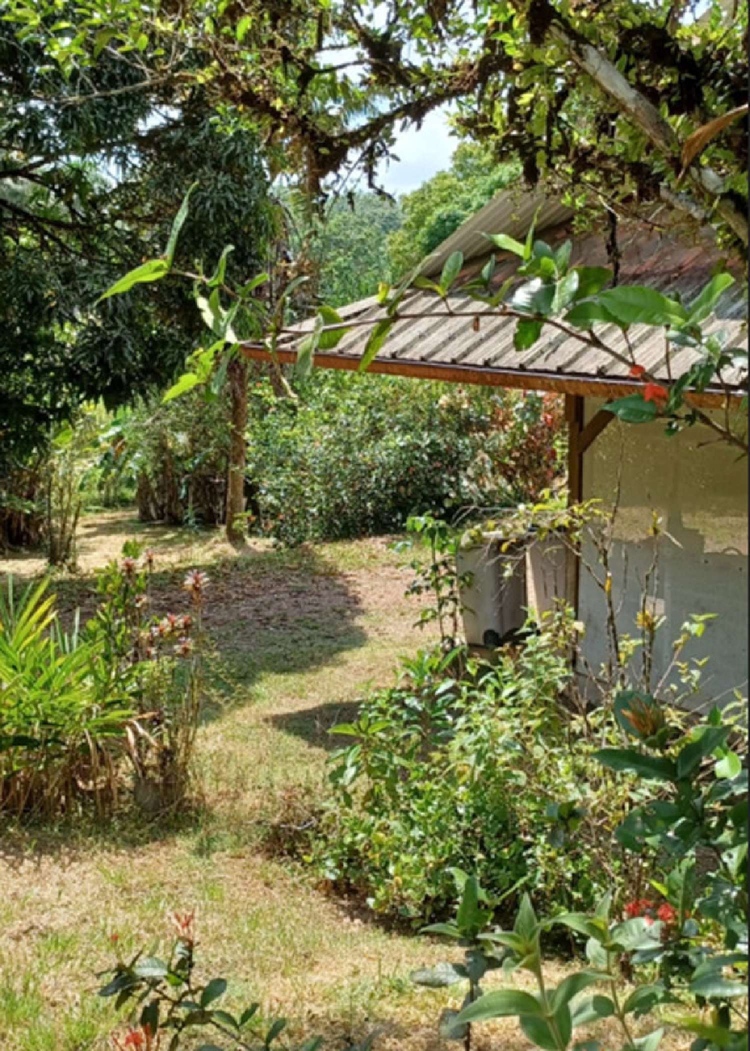 te koop huis Matoury Guyane 3