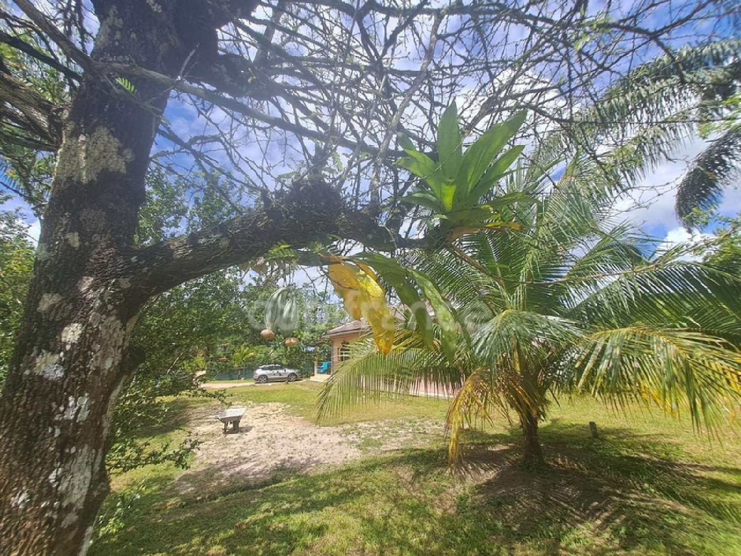 te koop huis Matoury Guyane 2