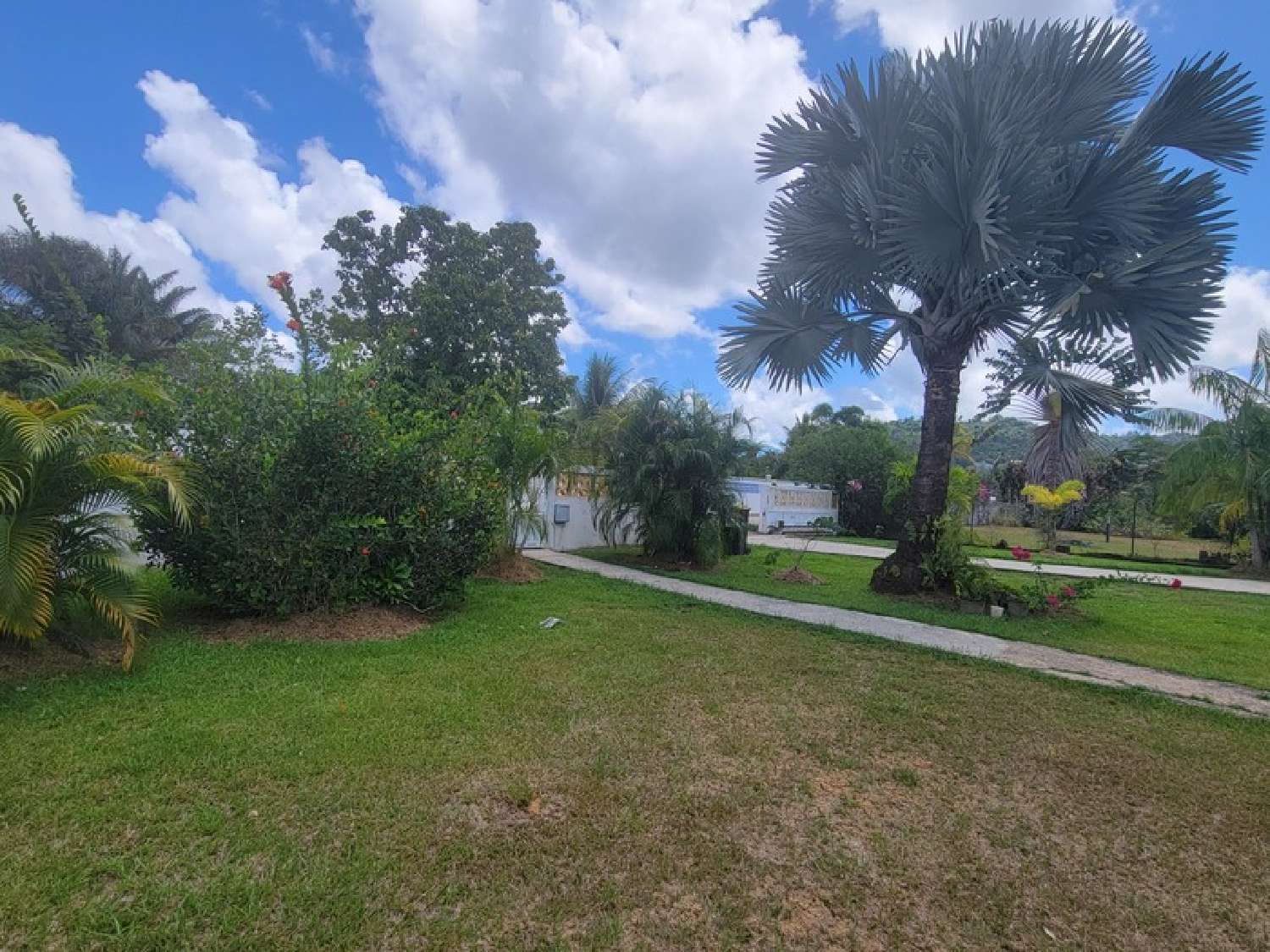 te koop huis Matoury Guyane 5