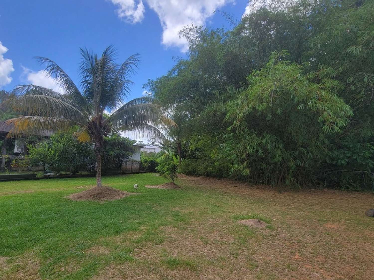 te koop huis Matoury Guyane 6
